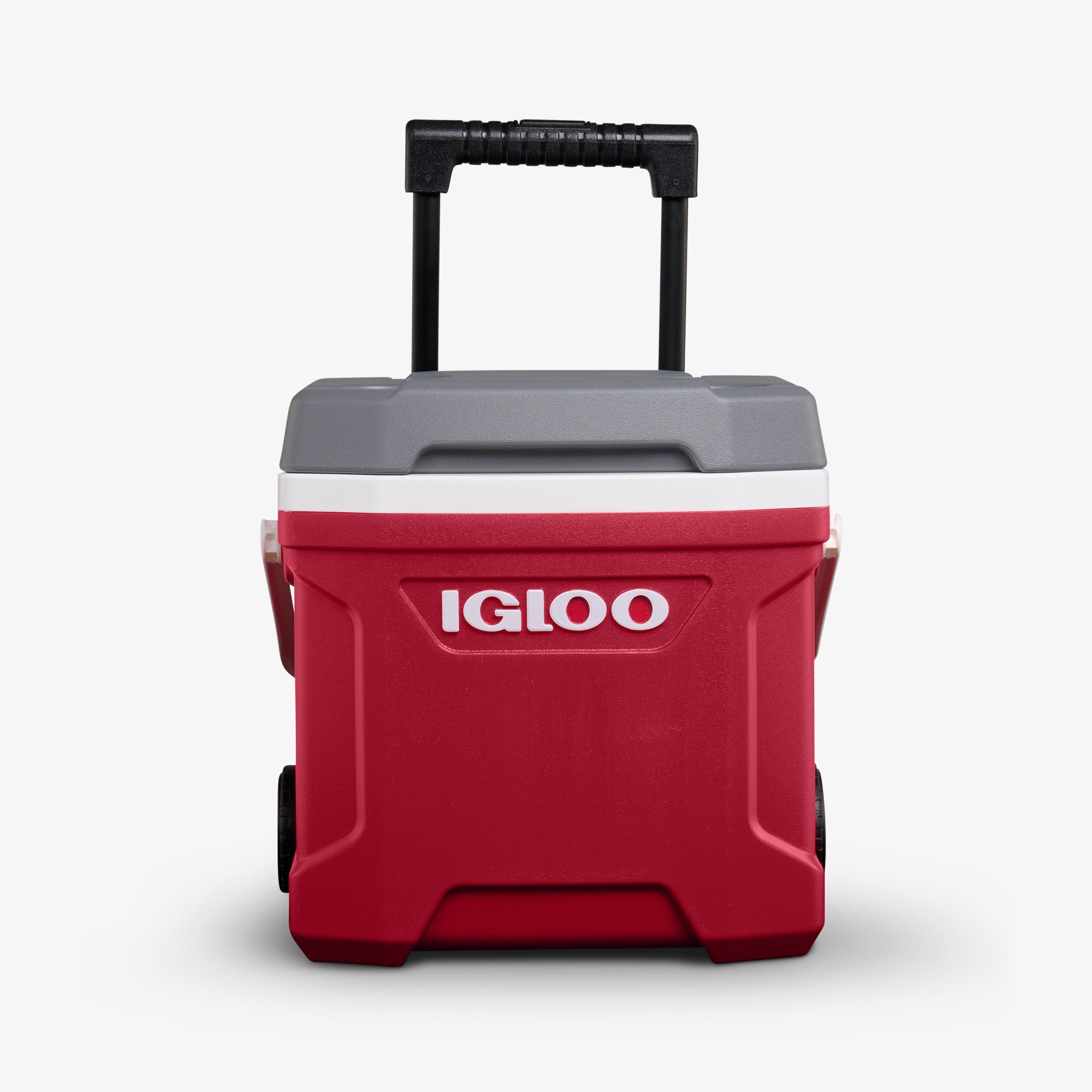 00034806-F2.jpg